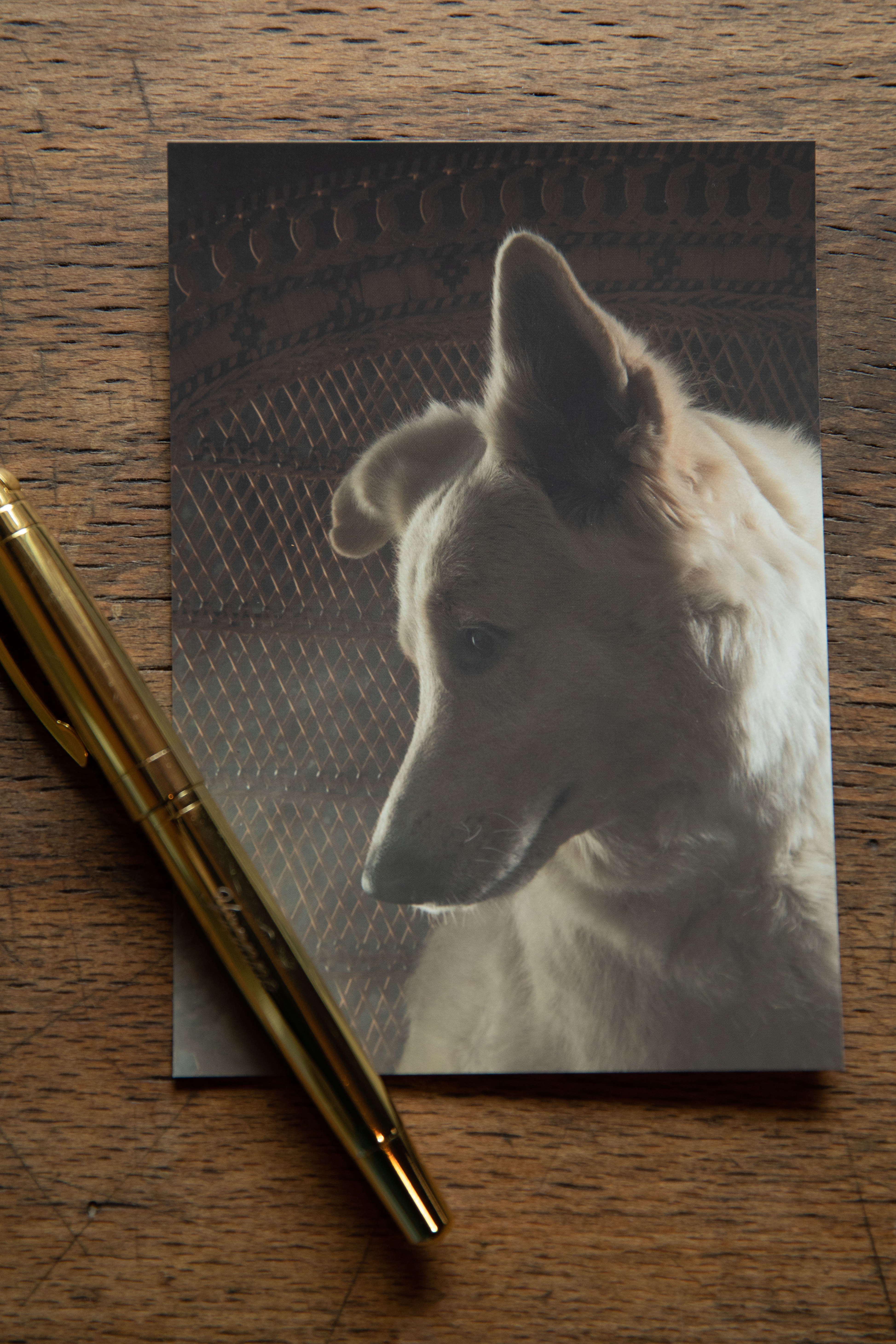 Postcards, set of 4 pieces